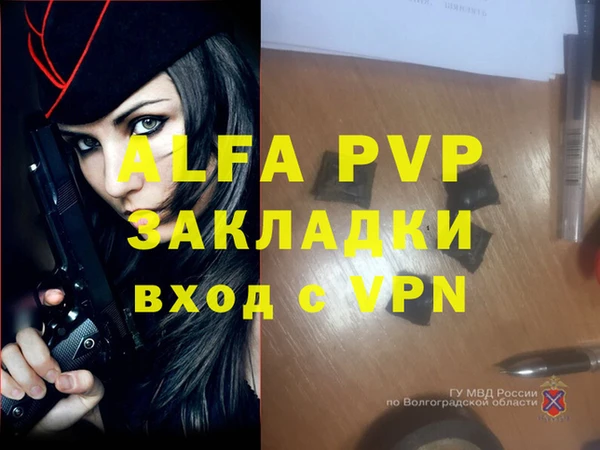 a pvp Богданович